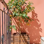 Apartamento Natasa's Cozy House Doukádes